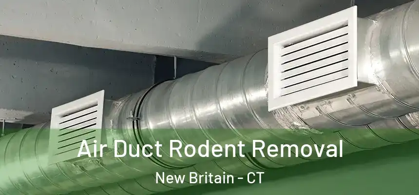 Air Duct Rodent Removal New Britain - CT
