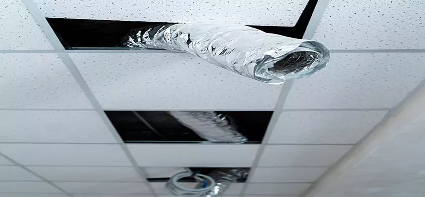 Affordable HVAC Sanitizing After Pest Removal in New Britain