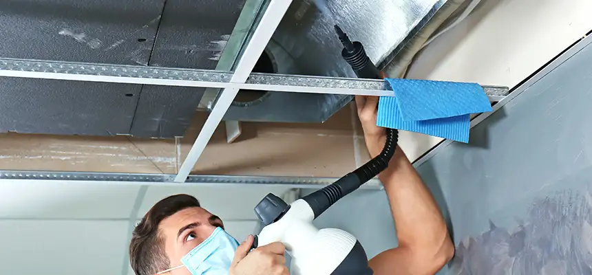 Our Air Duct Rodent Removal Services in New Britain, CT