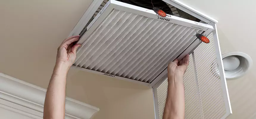Our Insect Removal from Air Ducts Services in New Britain, CT
