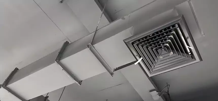 Our Rodent Droppings In Vents Services in New Britain, CT