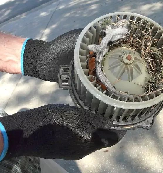 About Air Duct Mice Removal in New Britain, CT