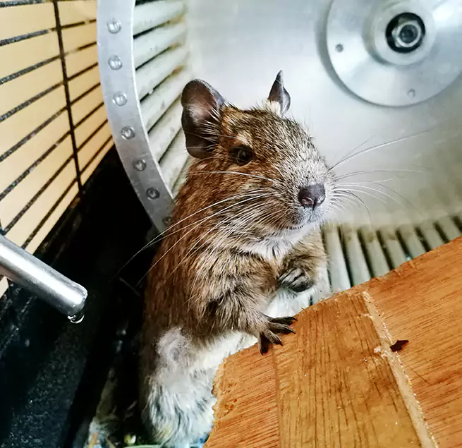 Why Homeowners & Businesses Trust Us New Britain, CT?